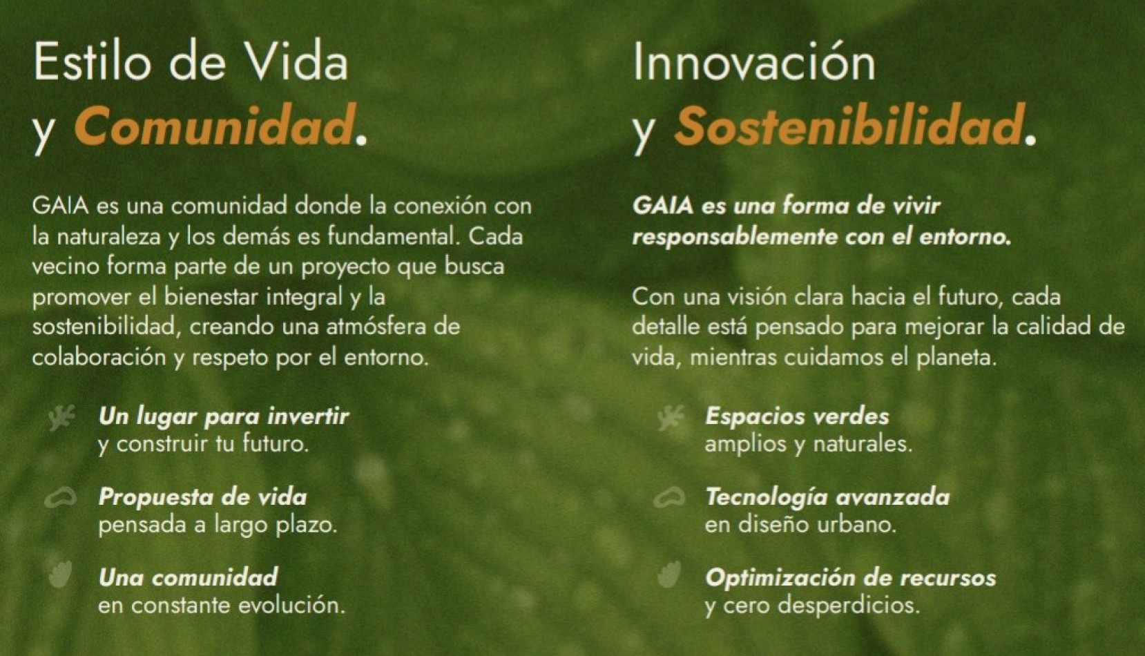 GAIA - Barrio Abierto Sustentable - General Lagos