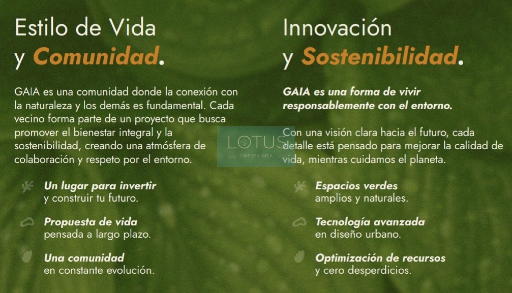 GAIA - Barrio Abierto Sustentable - General Lagos