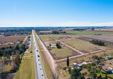 EcoVida - VILLA AMELIA