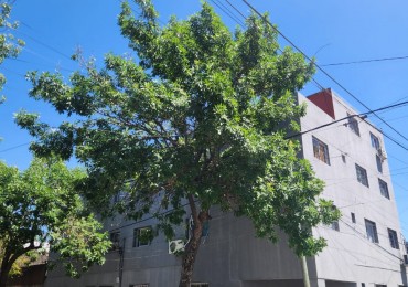 VIRASORO 184 BIS (Esquina Beruti) - Rosario