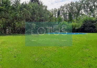 TERRENO EN VENTA - Roldan